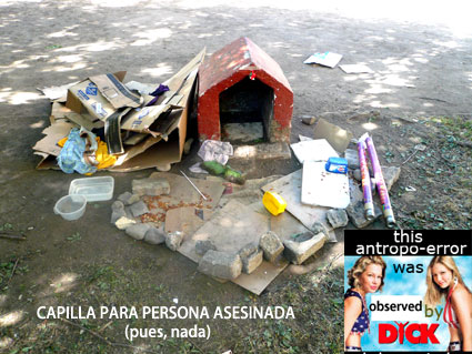 capillaERROR_WEB very very interesting _ muymuy interesante