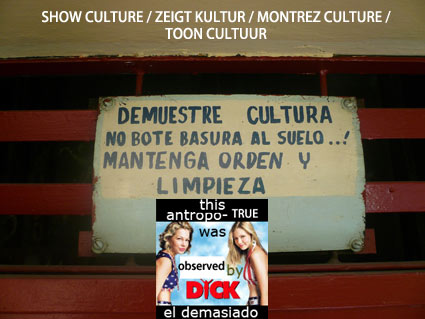 trash_WEB basura es cultura