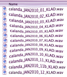 CALANDAklads mucho errorsound fresco para pudrir la nueva generacion